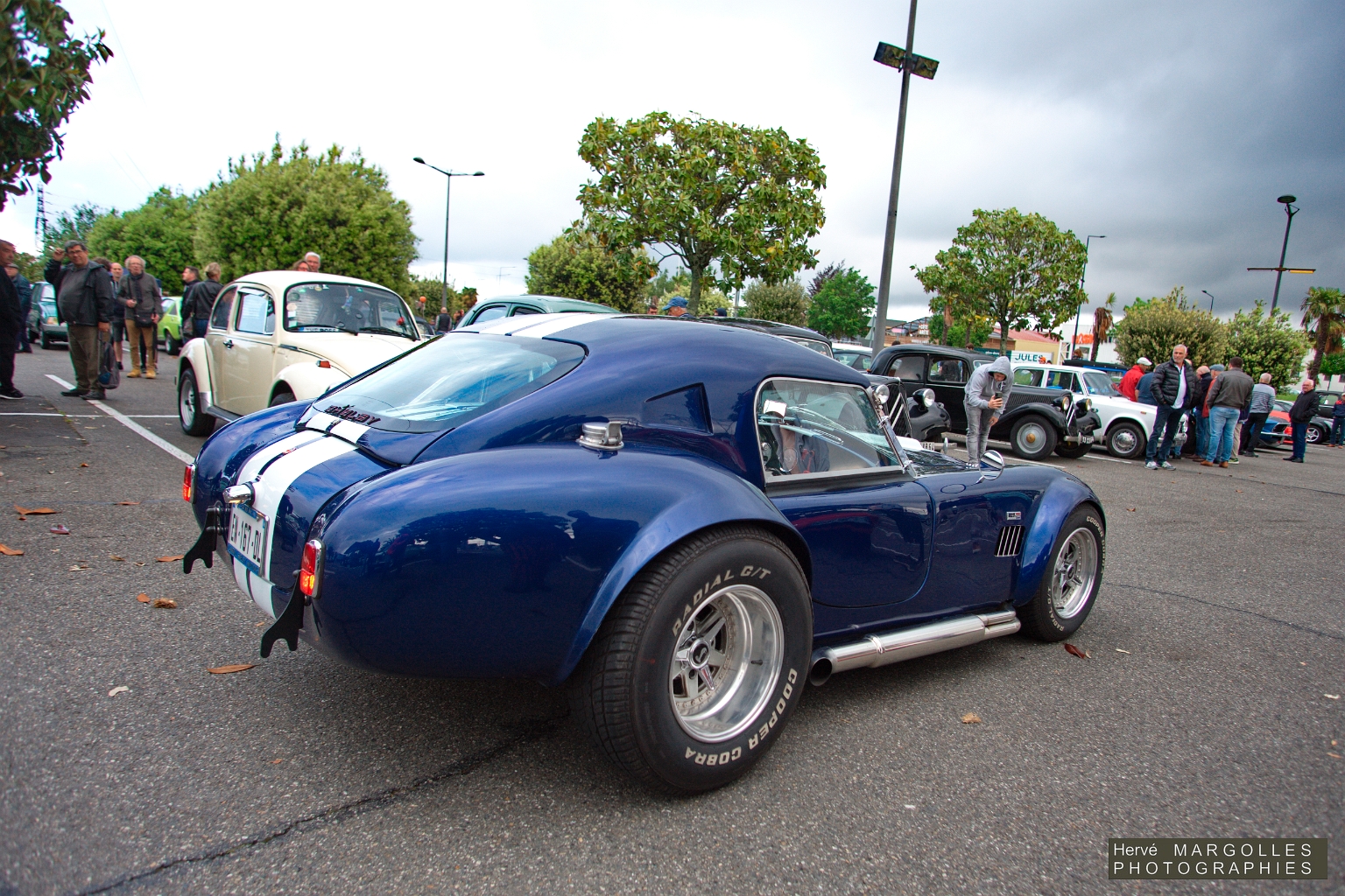 AC Cobra -01.jpg